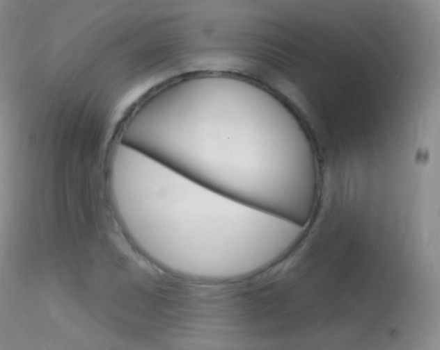 X0000113611071200909181046