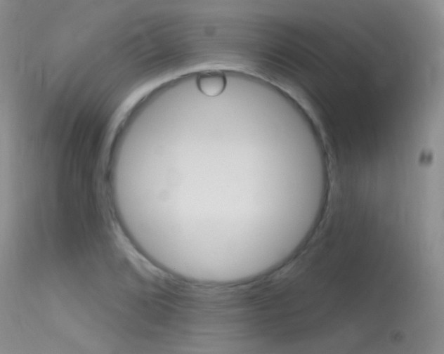 X0000113611072200909181046