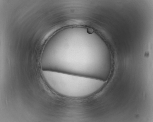 X0000113611073200909181046