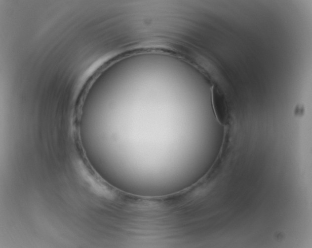 X0000113611076200909181046