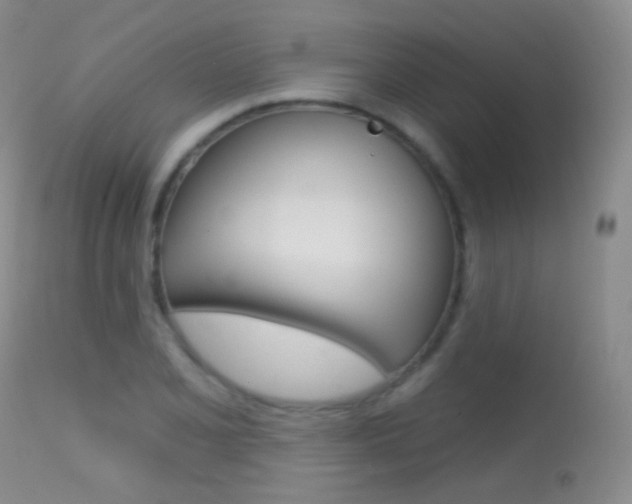 X0000113611077200909181046
