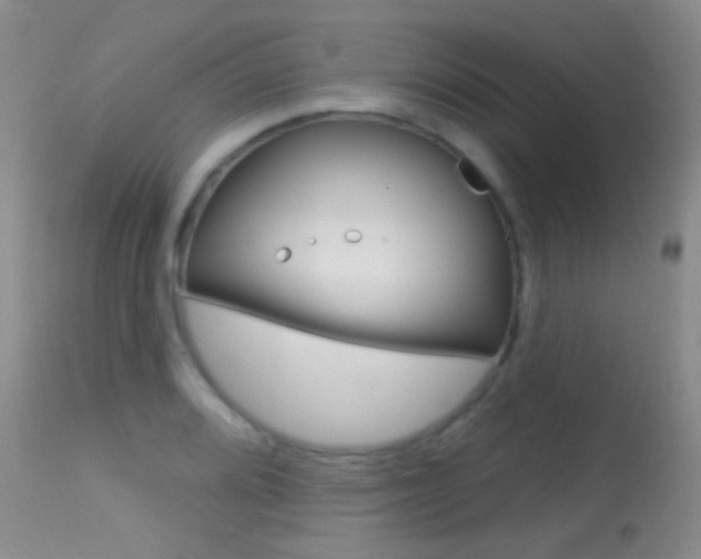X0000113611080200909181046