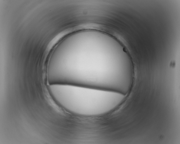 X0000113611082200909181045