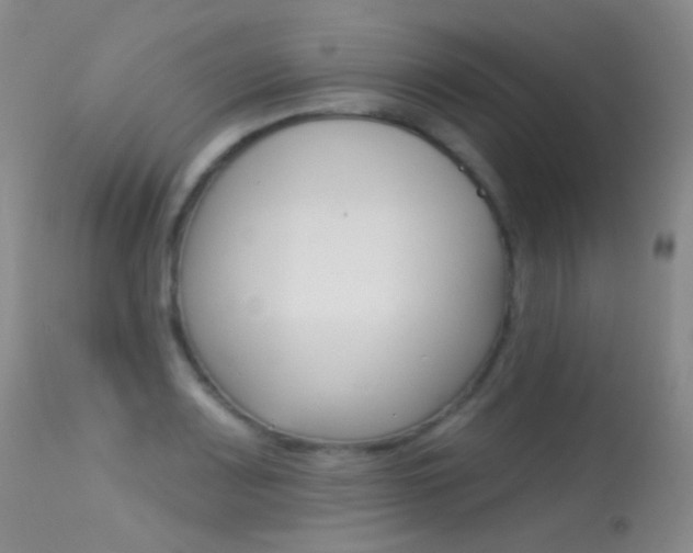 X0000113611083200909181045