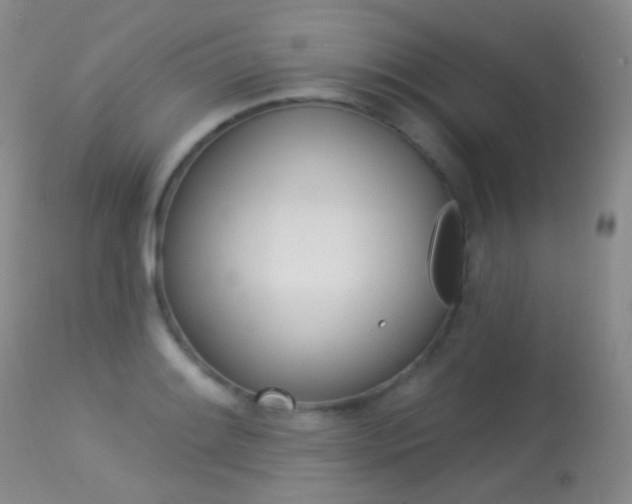 X0000113611084200909181045