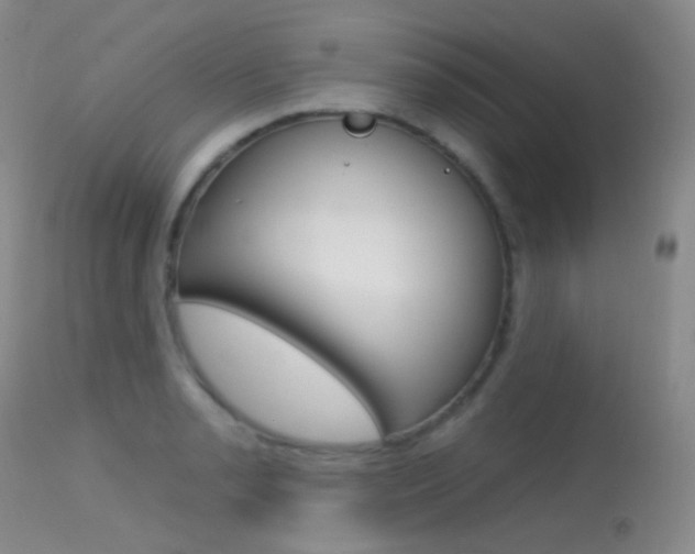 X0000113611085200909181045