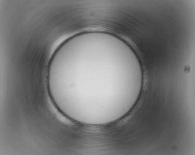 X0000113611086200909181045