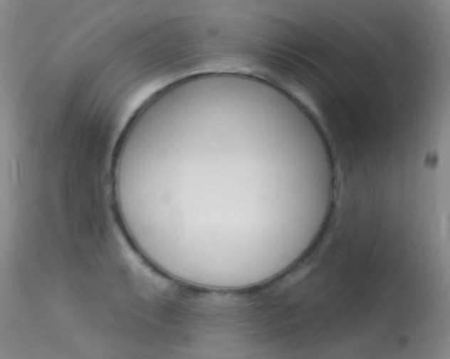 X0000113611087200909181045