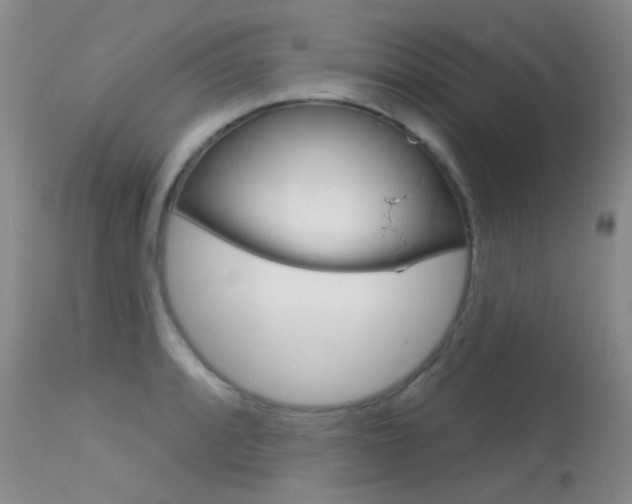 X0000113611088200909181045