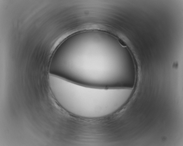 X0000113611089200909181045