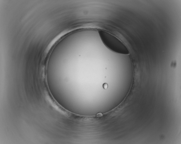 X0000113611092200909181045