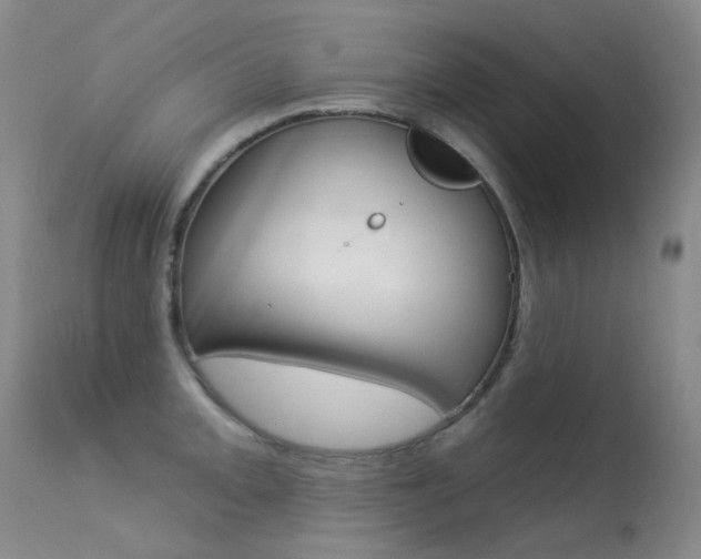 X0000113611093200909181045