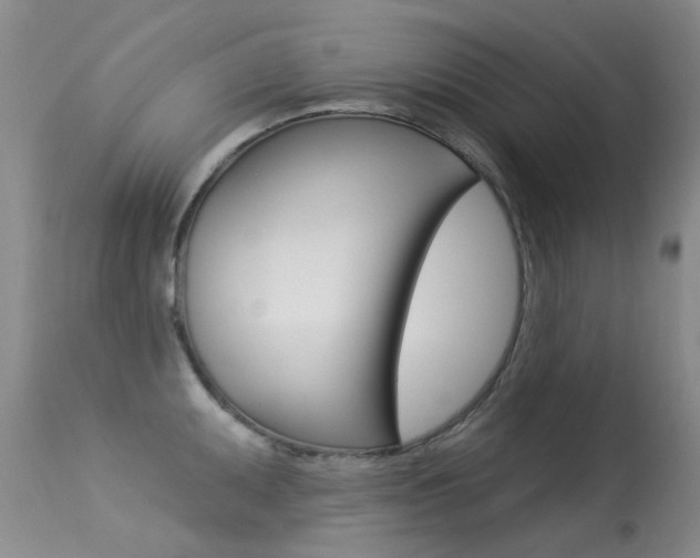 X0000113611095200909181045