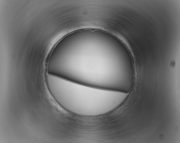 X0000113611096200909181045