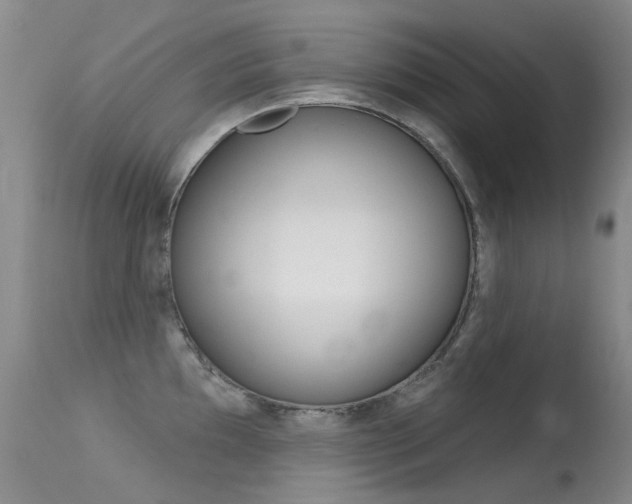 X0000113611097200909181045