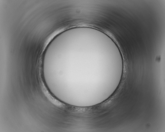 X0000113611098200909181045