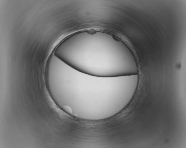 X0000113611099200909181045