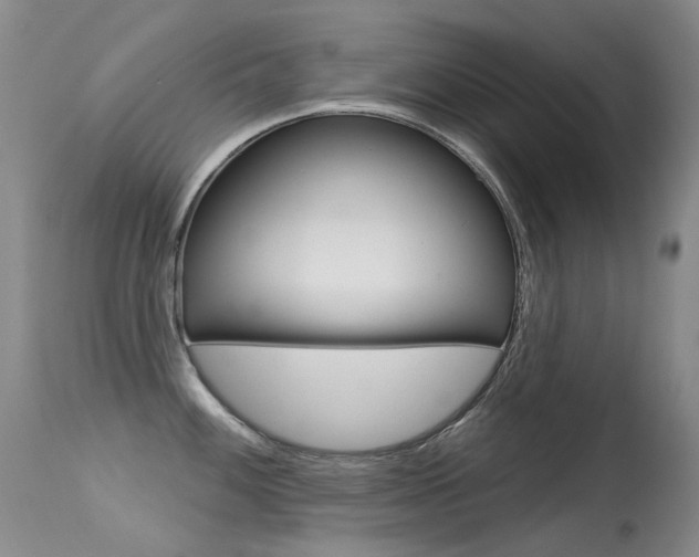 X0000113611100200909181045