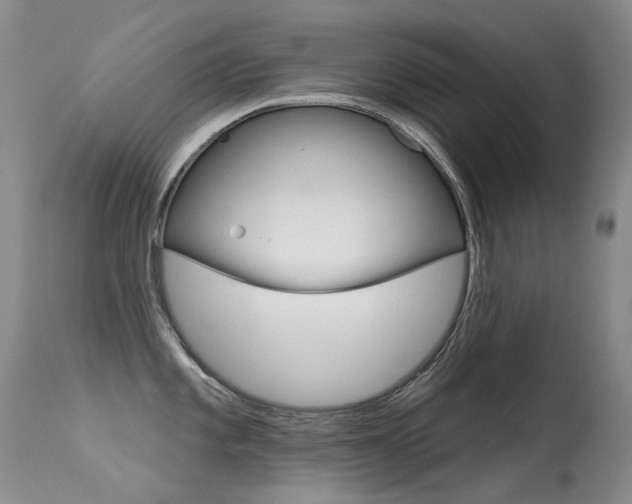 X0000113611101200909181045