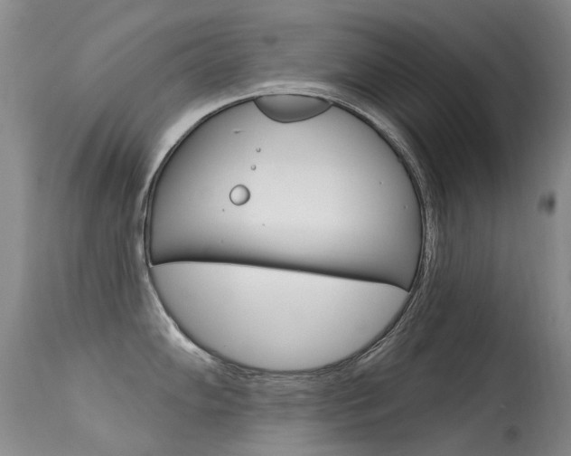 X0000113611102200909181045