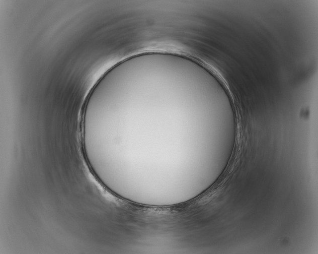 X0000113611103200909181045