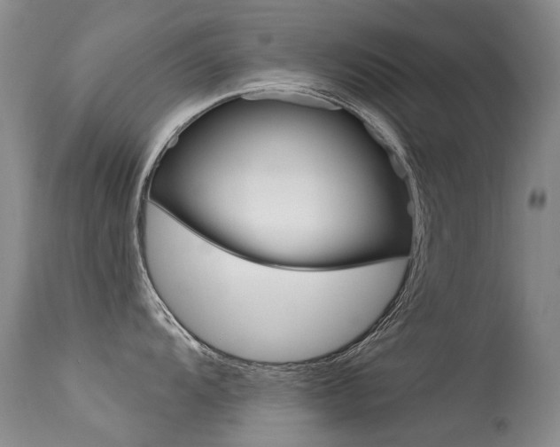 X0000113611104200909181045