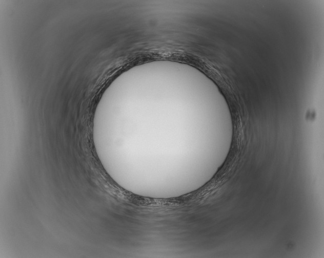 X0000113611105200909181045
