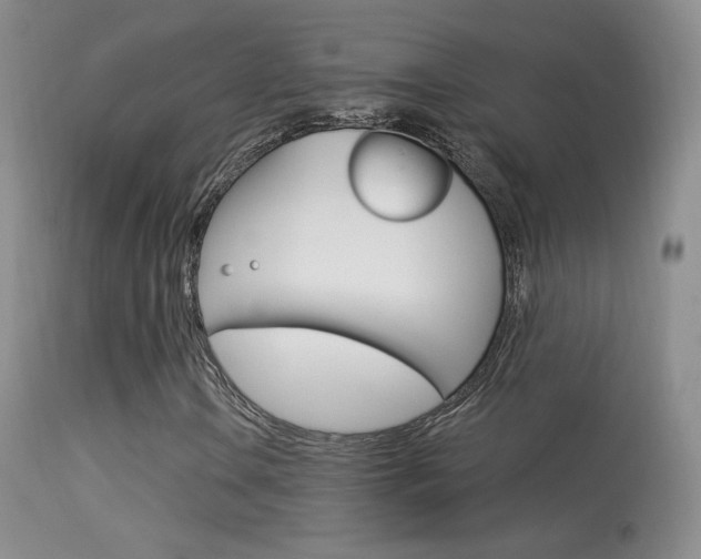 X0000113611106200909181045