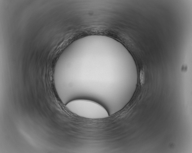 X0000113611107200909181045