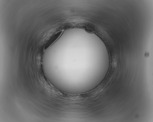 X0000113611108200909181045