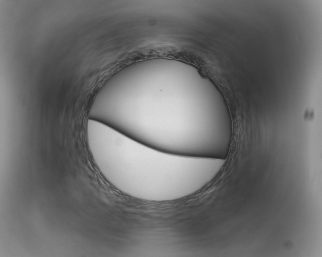 X0000113611109200909181045