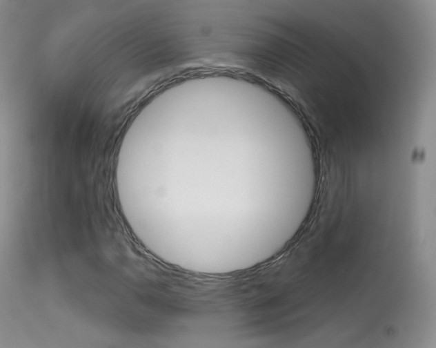 X0000113611110200909181045
