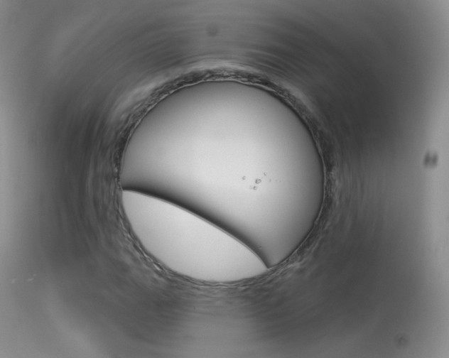 X0000113611111200909181045