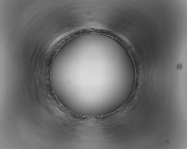 X0000113611112200909181045