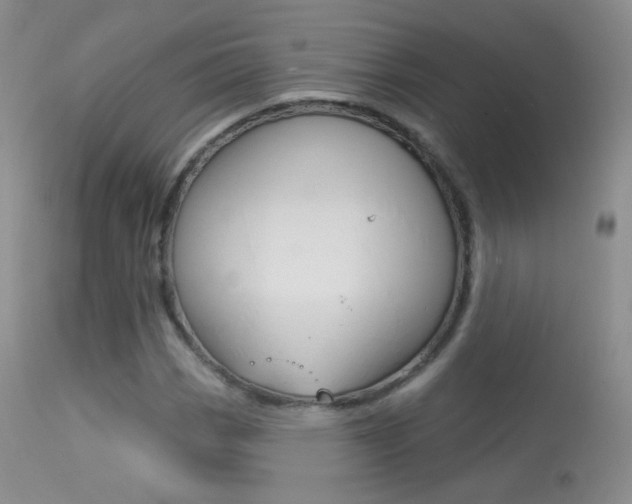 X0000113611113200909181045