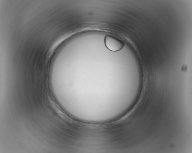 X0000113611114200909181045