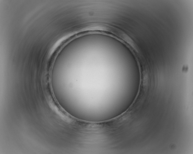 X0000113611116200909181045