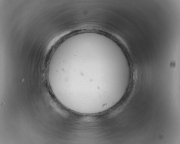 X0000113611117200909181045