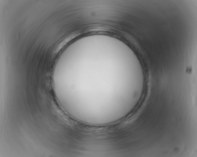 X0000113611121200909181045