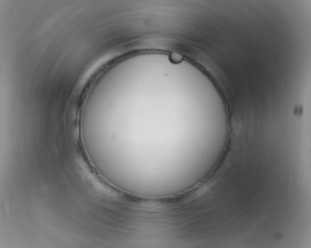 X0000113611123200909181045