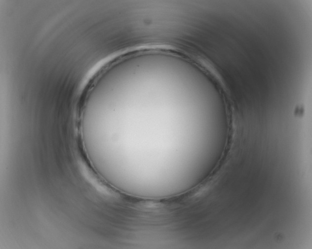 X0000113611124200909181045