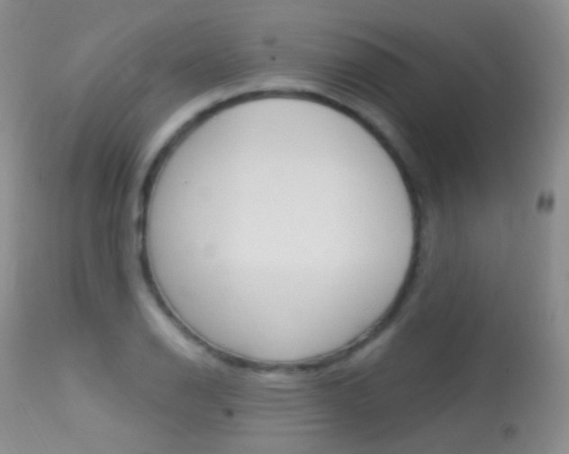 X0000113611126200909181045