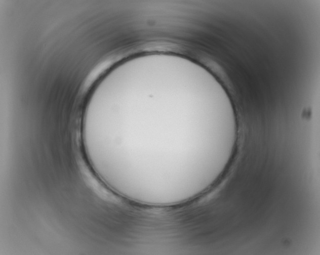 X0000113611130200909181045