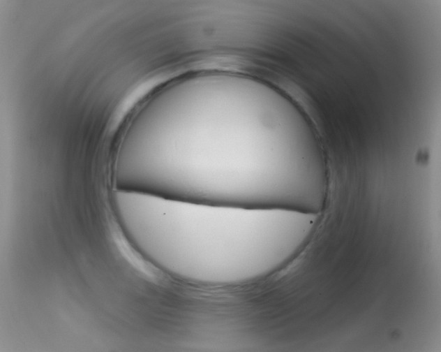 X0000113611131200909181045