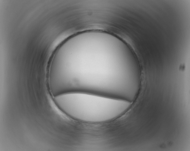 X0000113611135200909181045