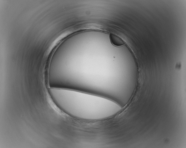 X0000113611139200909181045
