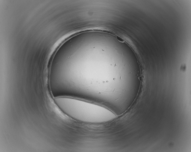 X0000113611140200909181045