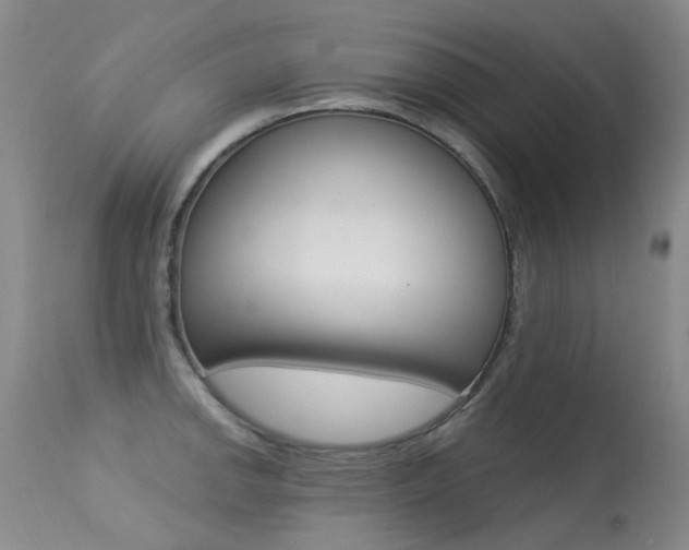X0000113611142200909181045