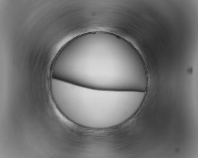 X0000113611143200909181045