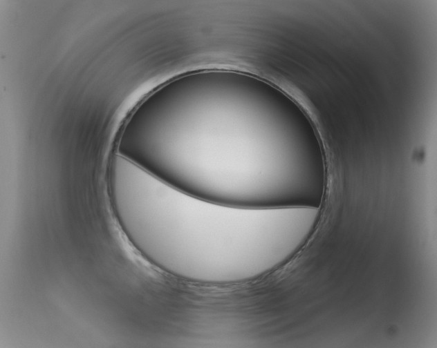 X0000113611144200909181045